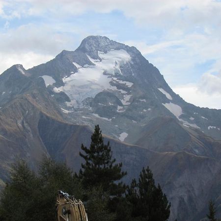 莱德萨阿尔卑斯2 Alpes Les Bleuets公寓 外观 照片
